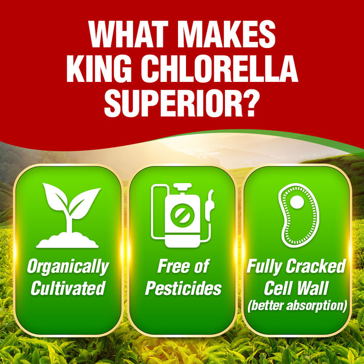AFC King Chlorella (1000 caplets) Superfood for Detox Digestion Weight Immune Skin - Lifestream Group US