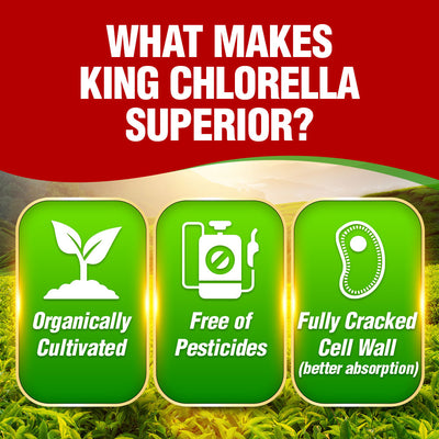 AFC King Chlorella (1000 caplets) Superfood for Detox Digestion Weight Immune Skin - Lifestream Group US