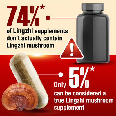 LABO Nutrition Bioactive Organic Lingzhi - Immunity Sleep Support & Stress Relief - Lifestream Group US