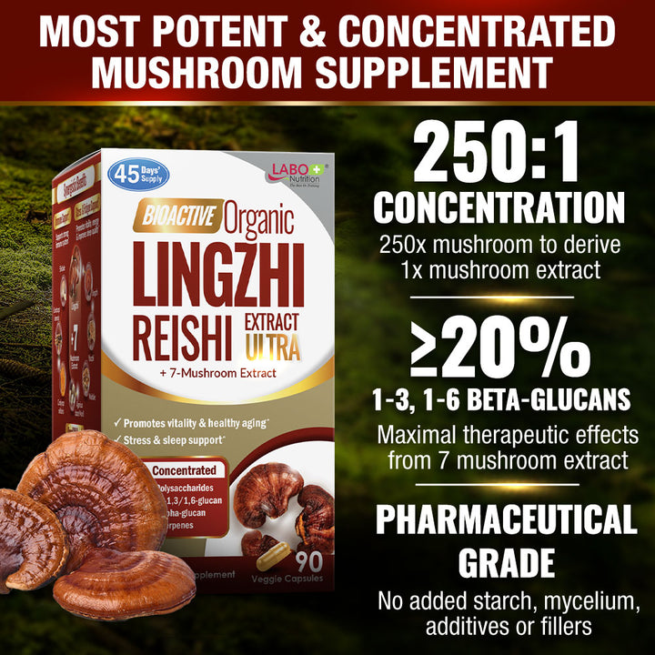 LABO Nutrition Bioactive Organic Lingzhi - Immunity Sleep Support &amp; Stress Relief - Lifestream Group US