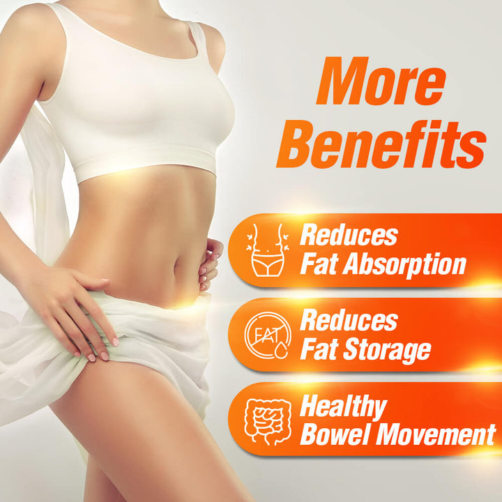 AFC LipoBlock Block Fats &amp; Calories - Loss Weight Slimming-Take Before Snacks Oily Foods - Lifestream Group US