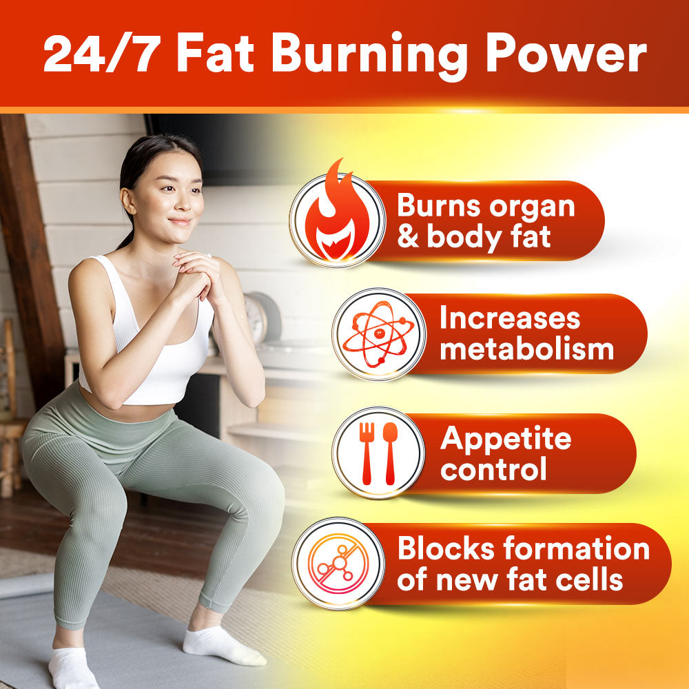 AFC LipoDOWN 2燃烧脂肪 懒人减肥 内脏脂肪 水肿/便秘 无需运动节食 Weight Loss Slimming Natural Fat Burner Boost Metabolism Appetite Control - Lifestream Group US