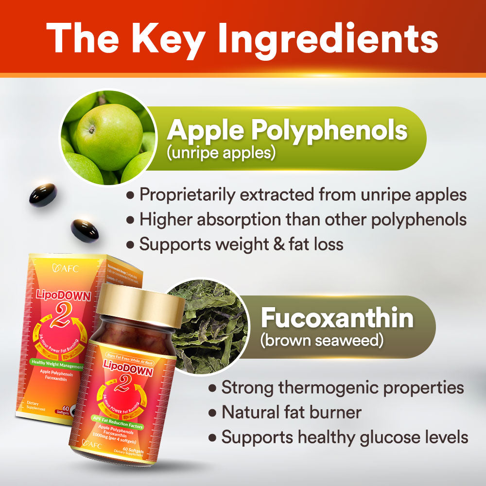 AFC LipoDOWN 2燃烧脂肪 懒人减肥 内脏脂肪 水肿/便秘 无需运动节食 Weight Loss Slimming Natural Fat Burner Boost Metabolism Appetite Control - Lifestream Group US