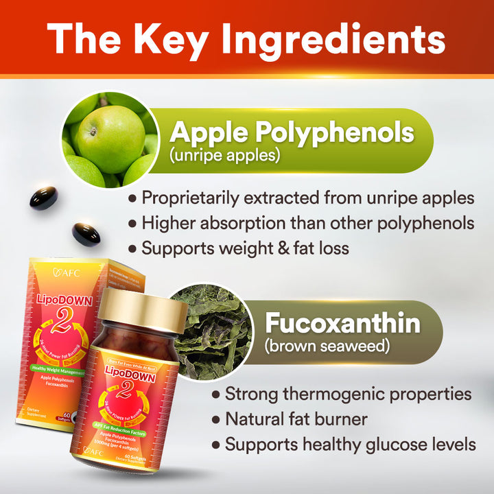 AFC LipoDOWN 2燃烧脂肪 懒人减肥 内脏脂肪 水肿/便秘 无需运动节食 Weight Loss Slimming Natural Fat Burner Boost Metabolism Appetite Control - Lifestream Group US