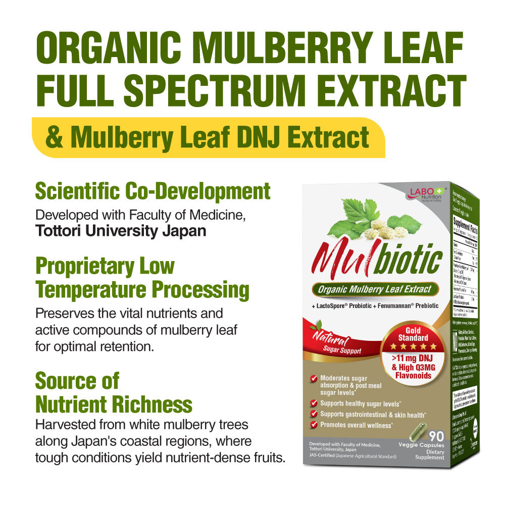 LABO Nutrition Mulbiotic Capsule, Organic Mulberry Leaf Extract + LactoSpore Probiotic & Fenumannan Prebiotic, for Healthy Blood Glucose Leval, Sugar & Carb Cravings Support, Vegetarian, Non-GMO