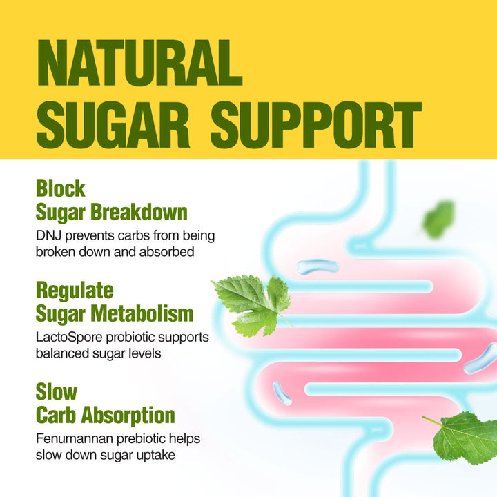 LABO Nutrition Mulbiotic Capsule, Organic Mulberry Leaf Extract + LactoSpore Probiotic &amp; Fenumannan Prebiotic, for Healthy Blood Glucose Leval, Sugar &amp; Carb Cravings Support, Vegetarian, Non-GMO - Lifestream Group US