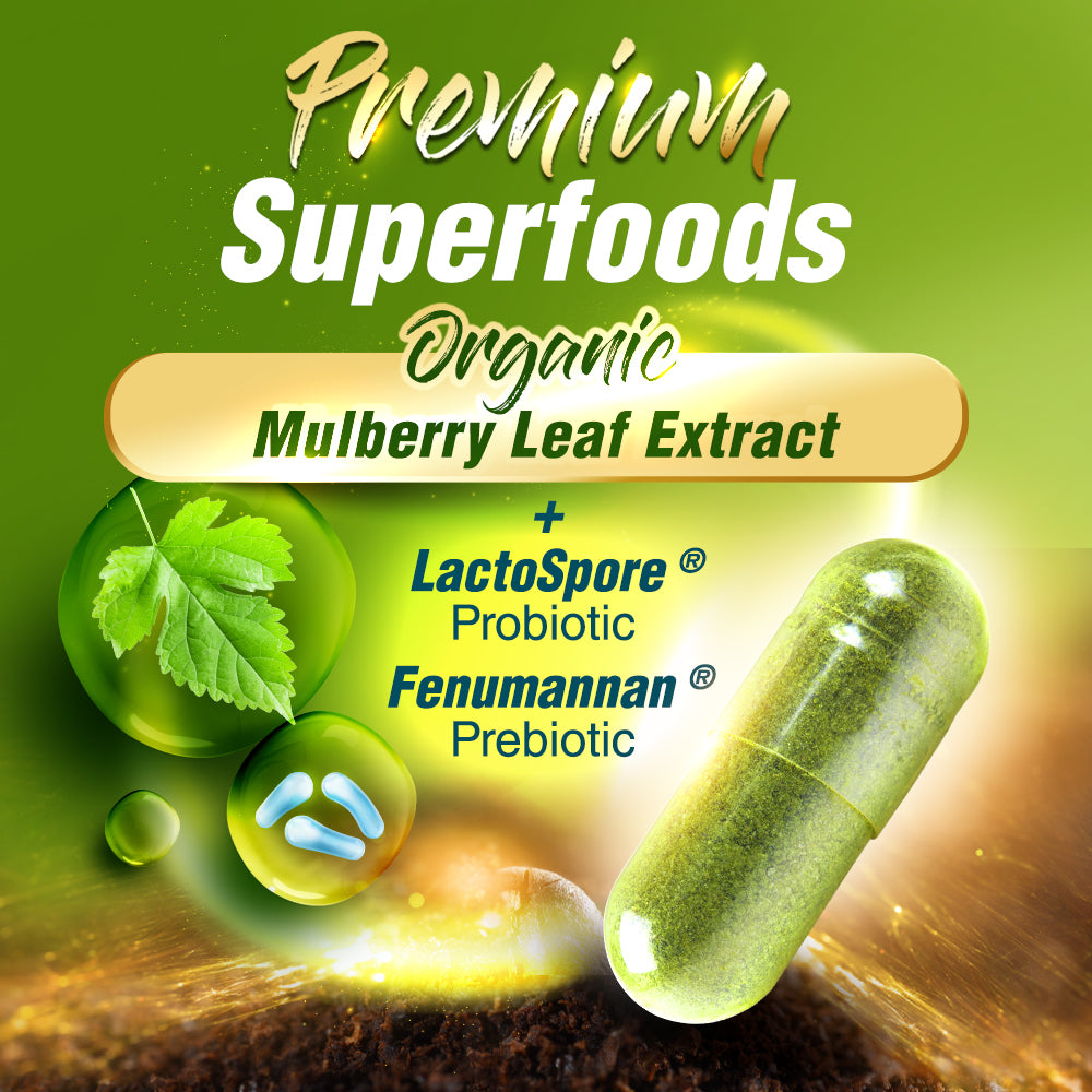 LABO Mulbiotic Capsule Glucose Support-Blood Sugar Diabetes Weight Appetite-Mulberry Extract - Lifestream Group US
