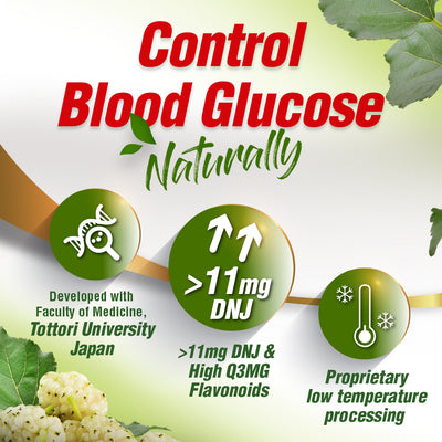 LABO Mulbiotic Capsule Glucose Support-Blood Sugar Diabetes Weight Appetite-Mulberry Extract - Lifestream Group US