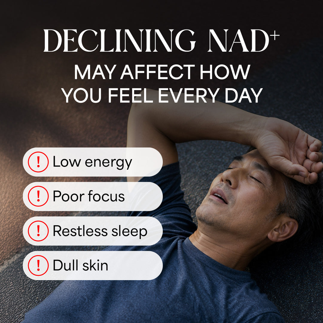 LABO Nutrition Le Ageless NMN+ with NAD+ Boosters for Anti Aging Vitality Energy Metabolism Brain Heart Sleep 60 capsules - Lifestream Group US