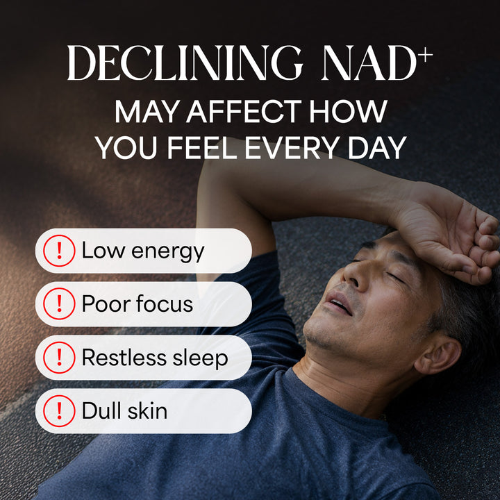 LABO Nutrition Le Ageless NMN+ with NAD+ Boosters for Anti Aging Vitality Energy Metabolism Brain Heart Sleep 60 capsules - Lifestream Group US