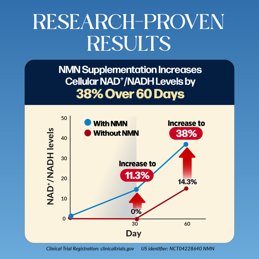 LABO Nutrition Le Ageless NMN+ with NAD+ Boosters for Anti Aging Vitality Energy Metabolism Brain Heart Sleep 60 capsules - Lifestream Group US