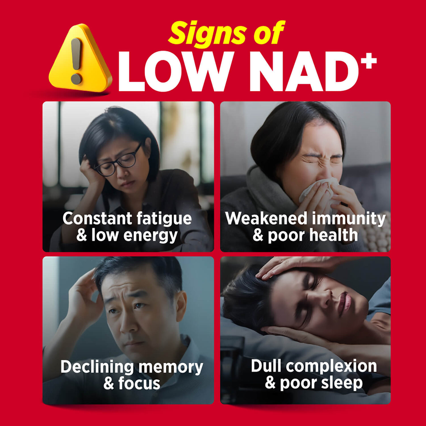 LABO Nutrition Le Ageless NMN+ with NAD+ Boosters for Anti Aging Vitality Energy Metabolism Brain Heart Sleep 60 capsules