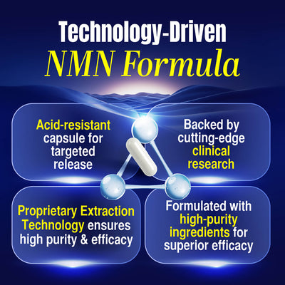 LABO Nutrition Le Ageless NMN+ with NAD+ Boosters for Anti Aging Vitality Energy Metabolism Brain Heart Sleep 60 capsules