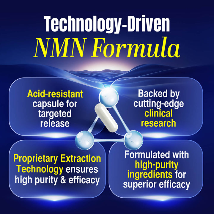 LABO Nutrition Le Ageless NMN+ with NAD+ Boosters for Anti Aging Vitality Energy Metabolism Brain Heart Sleep 60 capsules - Lifestream Group US