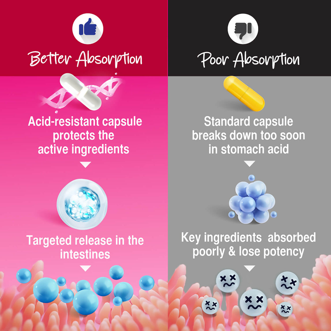 LABO Nutrition Le Ageless NMN+ with NAD+ Boosters for Anti Aging Vitality Energy Metabolism Brain Heart Sleep 60 capsules