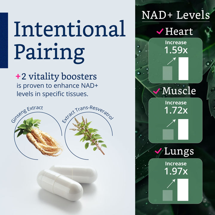 LABO Nutrition Le Ageless NMN+ Supplement with 99.8% Pure NMN (600mg), Trans-Resveratrol &amp; Asian Ginseng — for Healthy Aging and Cellular Energy Support — 60 Acid-Resistant Capsules, Made in Japan