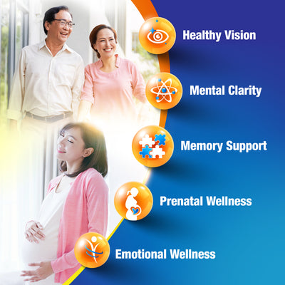 LABO Nutrition OmaxPure DHA76 Omega 3 Fish Oil - Brain Memory Vision Prenatal Health - Lifestream Group US