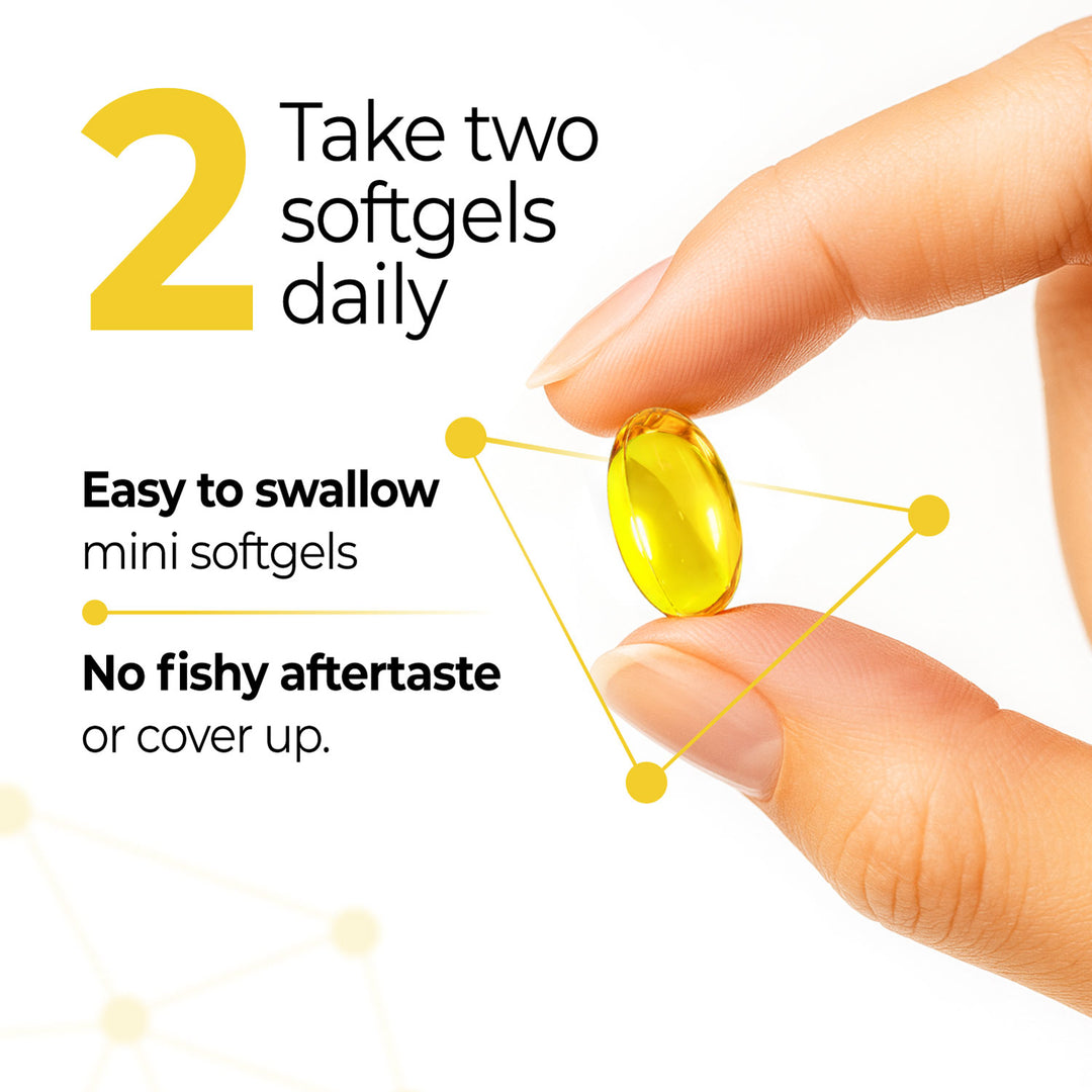 LABO Nutrition OmaxPure DHA Omega 3 Fish Oil | IFOS Certified High Strength rTG Omega 3 Fatty Acids Supplement with DHA &amp; EPA - for Brain, Eye Prenatal Support | 120 Mini Softgels, 60 Servings - Lifestream Group US