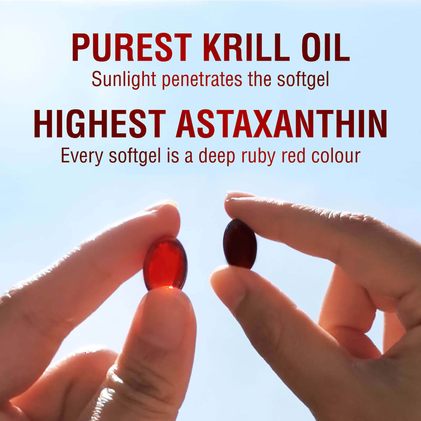 LABO Nutrition Perfect Krill EX Antarctic Krill Oil Omega 3 Phospholipid Intensive for Cholesterol