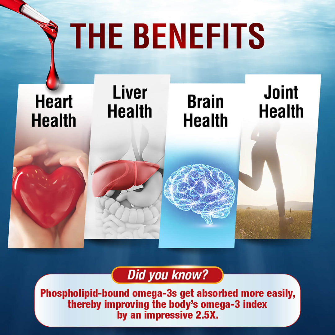 LABO Nutrition Perfect Krill EX Antarctic Krill Oil Omega 3 Phospholipid Intensive for Cholesterol - Lifestream Group US