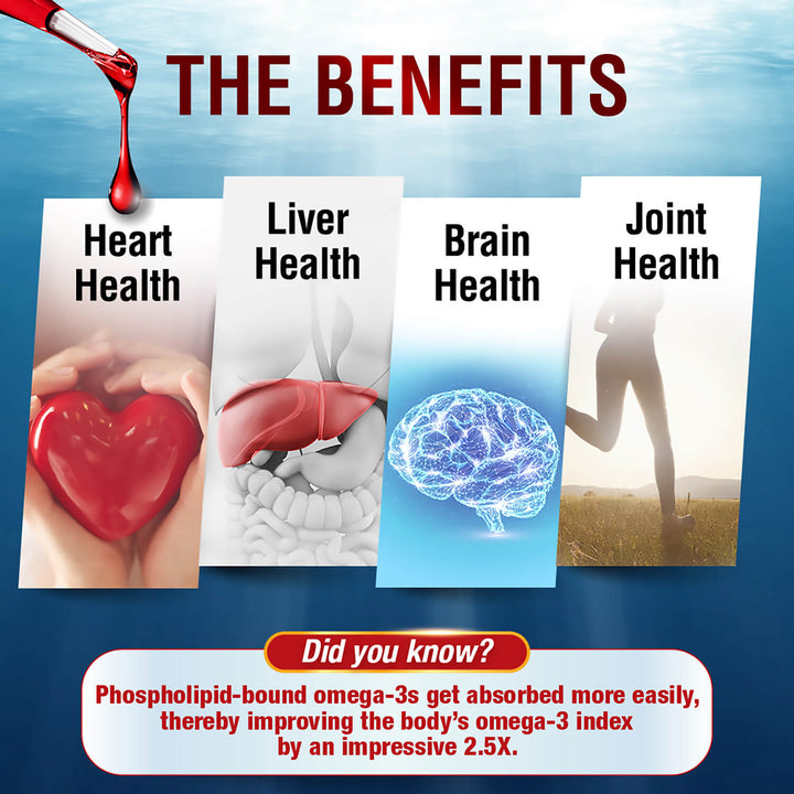 LABO Nutrition Perfect Krill EX Antarctic Krill Oil Omega 3 Phospholipid Intensive for Cholesterol - Lifestream Group US