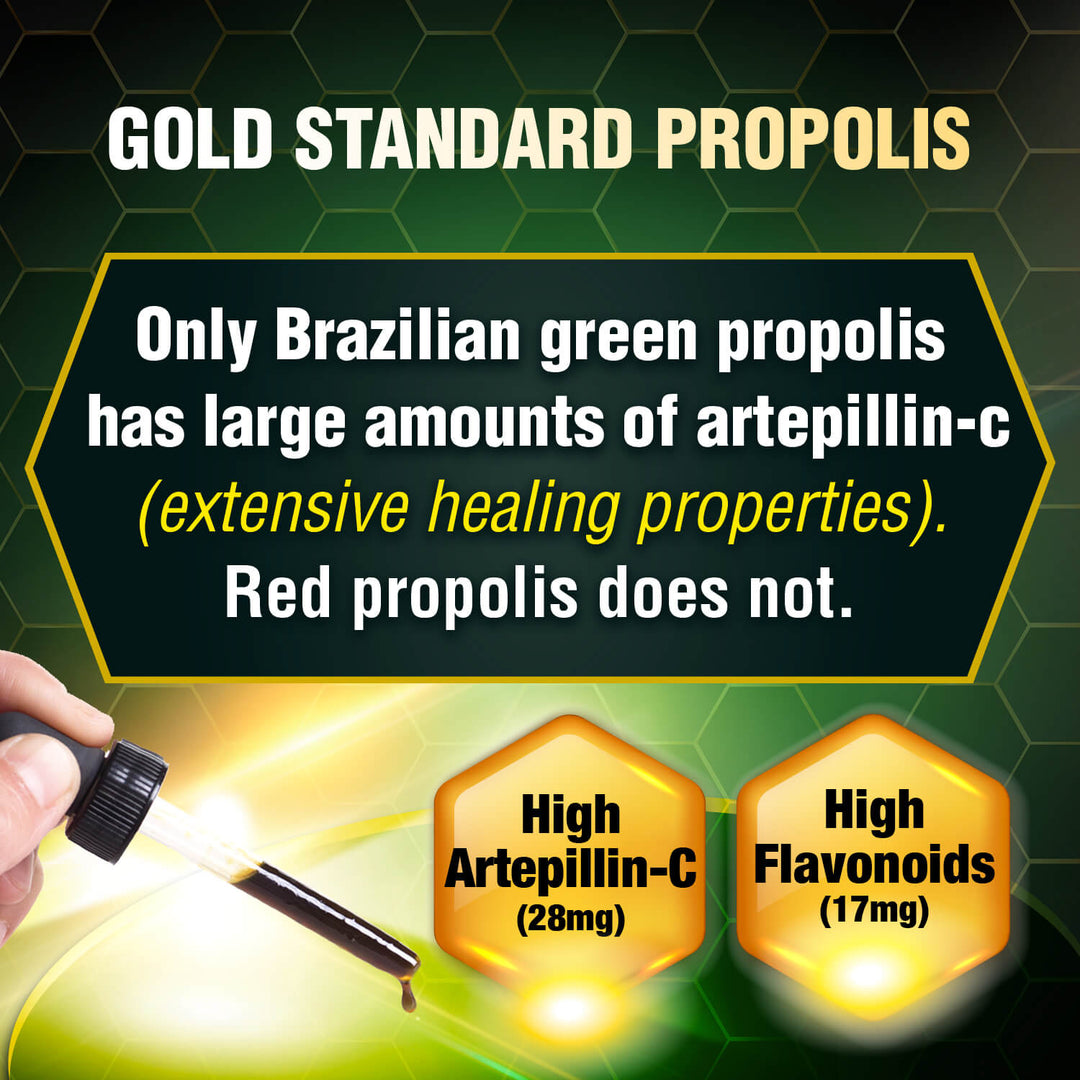 AFC Brazilian Green Propolis Extract 30ml-Cough Flu Ulcer &amp; Allergy Natural Immune Booster - Lifestream Group US