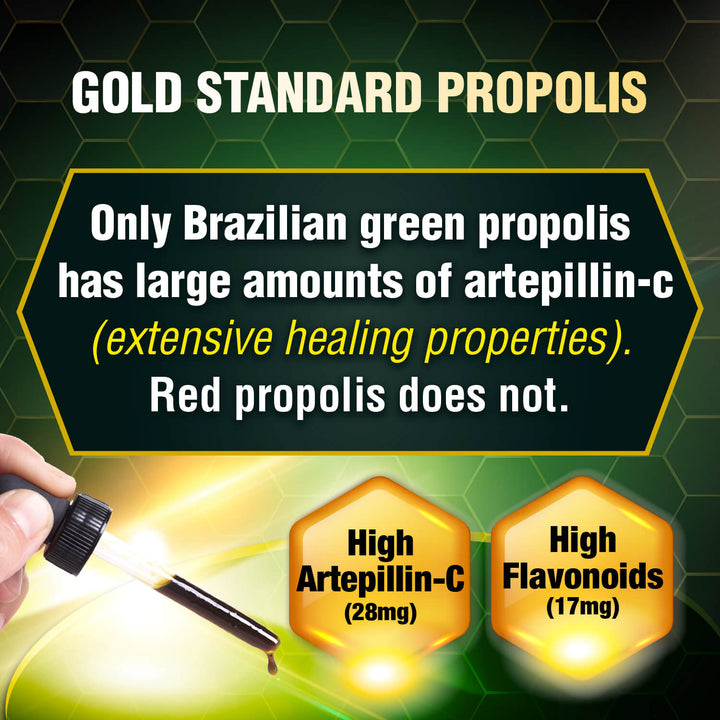 AFC Brazilian Green Propolis Extract 30ml-Cough Flu Ulcer &amp; Allergy Natural Immune Booster - Lifestream Group US