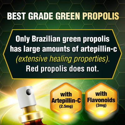AFC Brazilian Green Propolis Spray 35ml-For Gum Inflammation, Dry Sore Throat & Bad Breath - Lifestream Group US