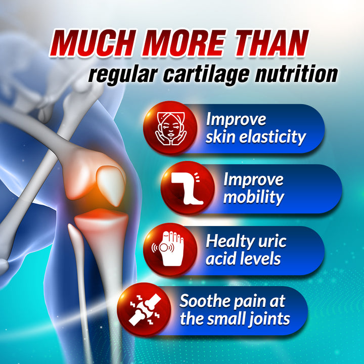 AFC SCP Cartilage Sensei Supreme—Swollen Stiff Joint Pain &amp; Healthy Uric Acid Level - Gout - Lifestream Group US
