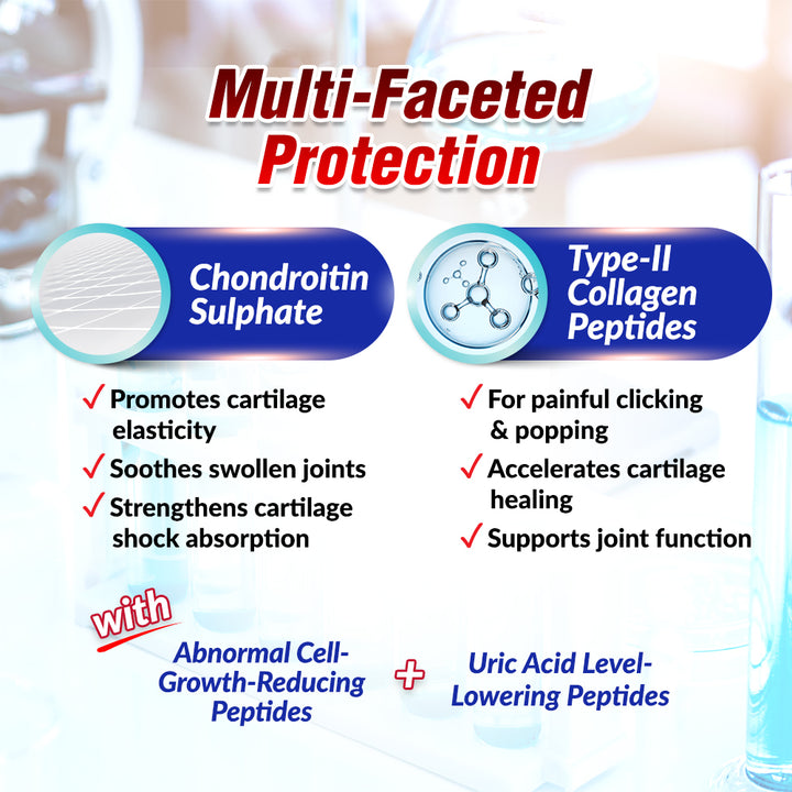 AFC SCP Cartilage Sensei Supreme—Swollen Stiff Joint Pain &amp; Healthy Uric Acid Level - Gout - Lifestream Group US