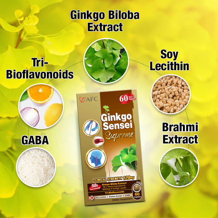 AFC Ginkgo Sensei Supreme Ginkgo Biloba Extract—Brain Memory Blood Circulation Cold Hands Feet - Lifestream Group US
