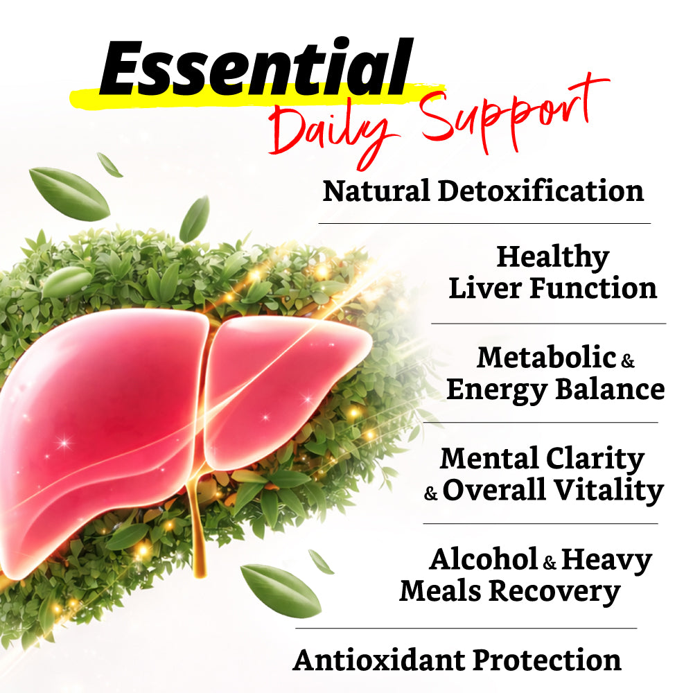 AFC Ultimate Liver Care  究极护肝素 养肝 排毒 护肝 补肝 解酒 姜黄素 Natural Liver Detox for Fatty Liver &amp; Hangover - Turmeric Curcuminoid - Lifestream Group US