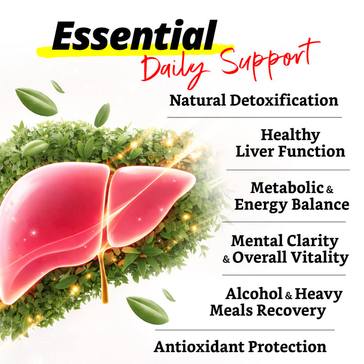 AFC Ultimate Liver Care  究极护肝素 养肝 排毒 护肝 补肝 解酒 姜黄素 Natural Liver Detox for Fatty Liver &amp; Hangover - Turmeric Curcuminoid - Lifestream Group US