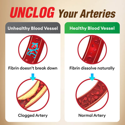 LABO Nutrition VesseCLEAR CX确保通CX：纳豆激酶 NSK-SD + 谷维素，用于清通血管和辅助健康老化，日本最经临床研究，支持健康胆固醇、心血管、素食