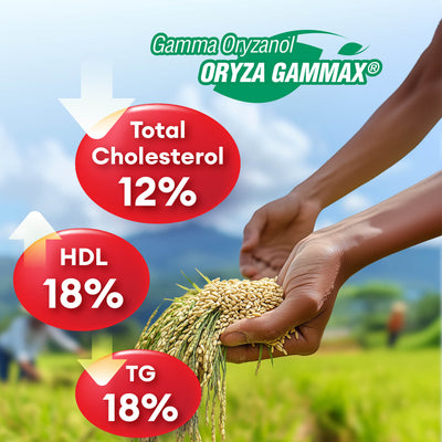 LABO Nutrition VesseCLEAR CX确保通CX：纳豆激酶 NSK-SD + 谷维素，用于清通血管和辅助健康老化，日本最经临床研究，支持健康胆固醇、心血管、素食