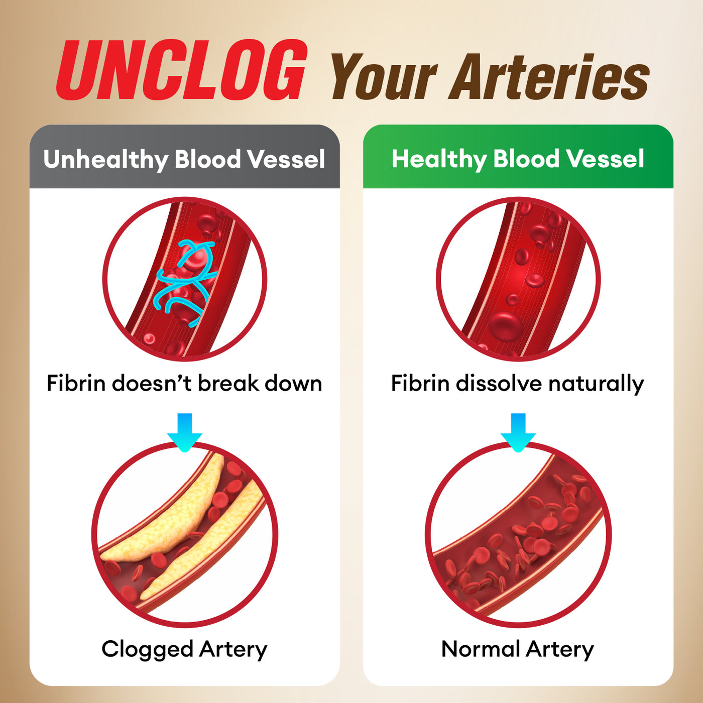LABO Nutrition VesseCLEAR 确保通EX Nattokinase - Clean Flexible Blood Vessels Dissolve Clot - Lifestream Group US