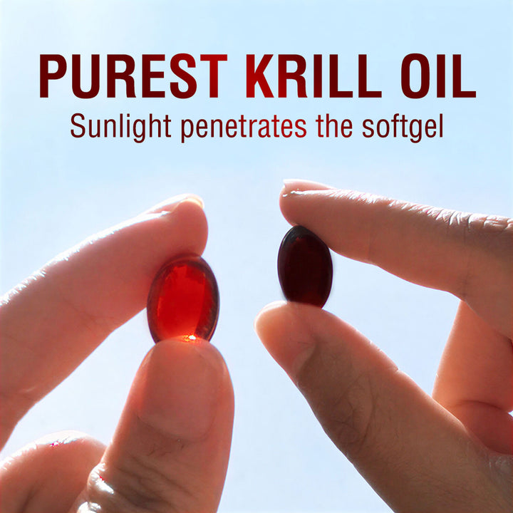 LABO Nutrition Perfect Krill EX Antarctic Krill Oil Omega 3 Phospholipid Intensive for Cholesterol - Lifestream Group US