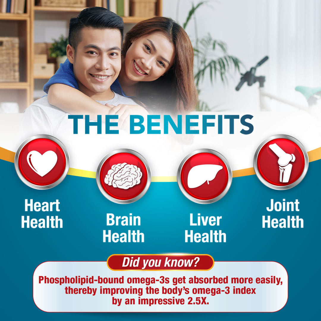 LABO Nutrition Perfect Krill 1000mg Antarctic Krill Oil Phospholipid for Brain Heart Liver - Lifestream Group US