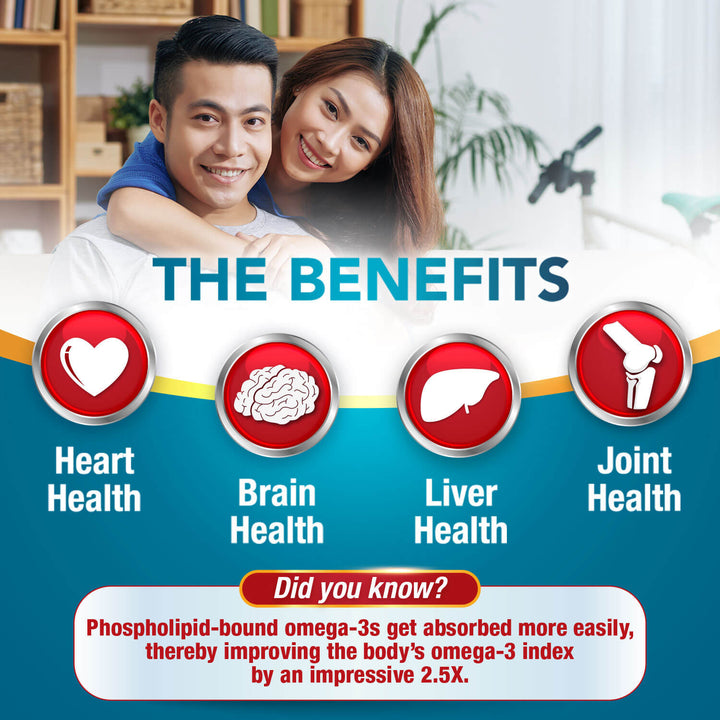 LABO Nutrition Perfect Krill 1000mg Antarctic Krill Oil Phospholipid for Brain Heart Liver - Lifestream Group US