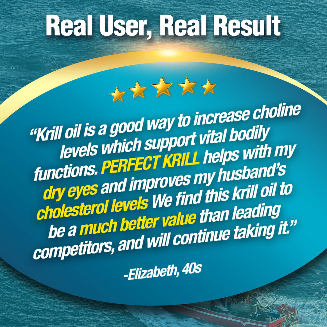 LABO Nutrition Perfect Krill 1000mg Antarctic Krill Oil Phospholipid for Brain Heart Liver - Lifestream Group US