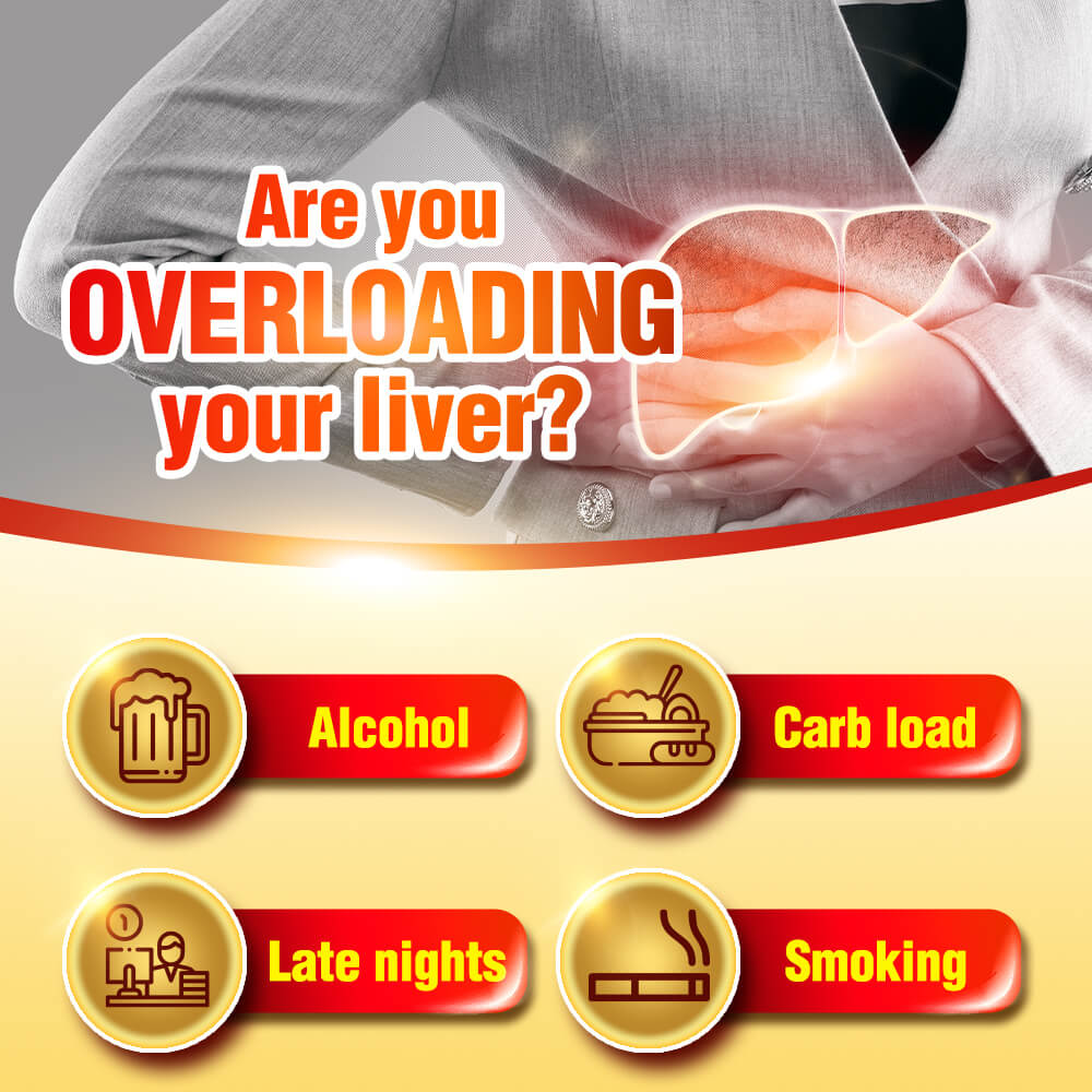 AFC Turmeric Extract—Best Curcuminoid—Natural Detox Digestion Slimming Immunity & Liver Care - Lifestream Group US