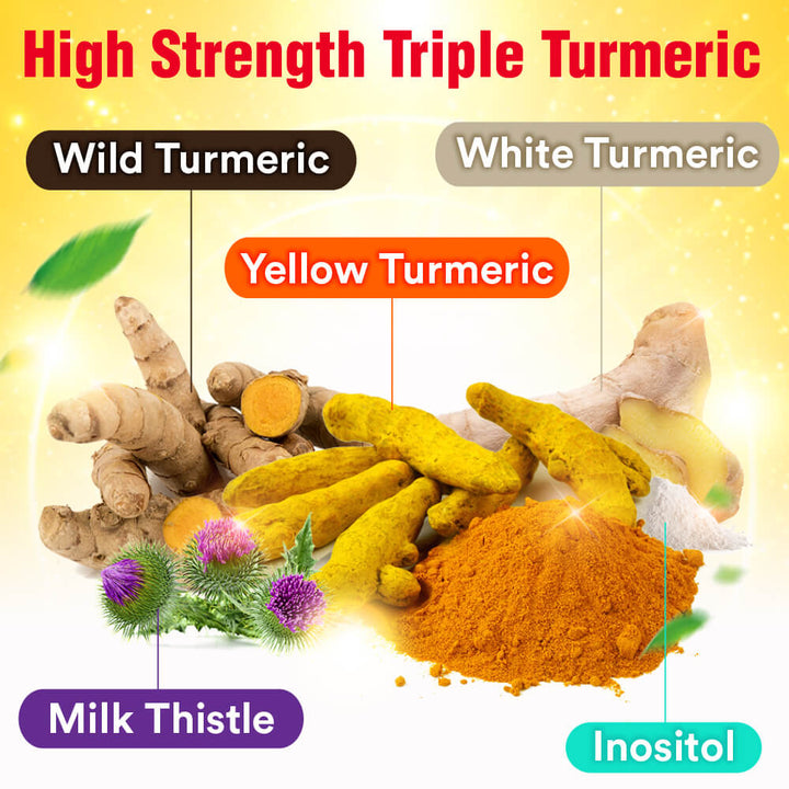 AFC Turmeric Extract—Best Curcuminoid—Natural Detox Digestion Slimming Immunity &amp; Liver Care - Lifestream Group US