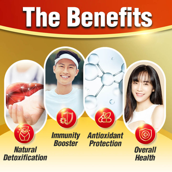 AFC Turmeric Extract—Best Curcuminoid—Natural Detox Digestion Slimming Immunity &amp; Liver Care - Lifestream Group US