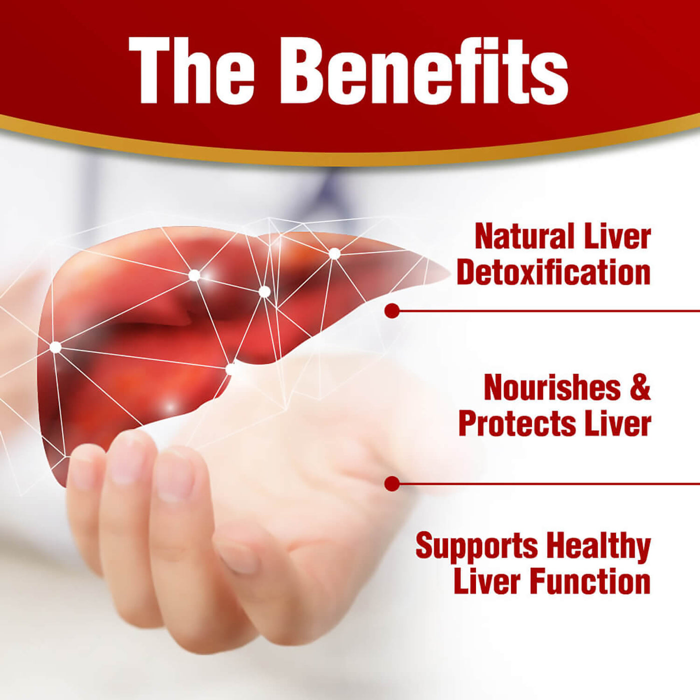 AFC Ultimate Liver Care  究极护肝素 养肝 排毒 护肝 补肝 解酒 姜黄素 Natural Liver Detox for Fatty Liver & Hangover - Turmeric Curcuminoid