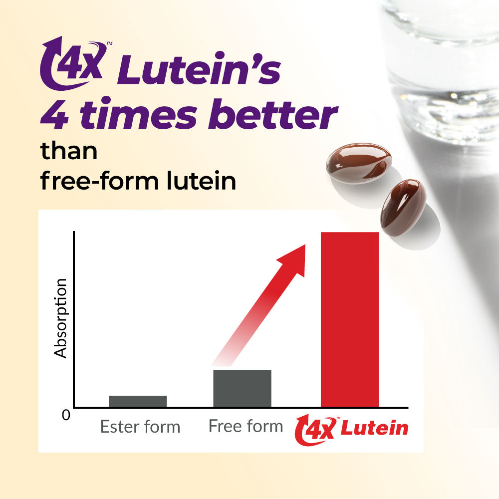 AFC Japan Ultimate Vision 4X - Eye Formula with Lutein 4X, Zeaxanthin, Bilberry Extract and Vitamins for Age-Related Eye Problem, Blurry &amp; Poor Vision, Dry Eye, Macular Health 45s - Lifestream Group US