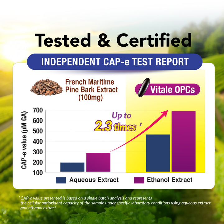 LABO Nutrition Vitale OPCs | Premium European Grape Seed Extract with Aronia, Citrus Bioflavonoids | Supports Circulation, Skin Health and Cellular Protection | 100% polyphenols 90 Softgels - Lifestream Group US