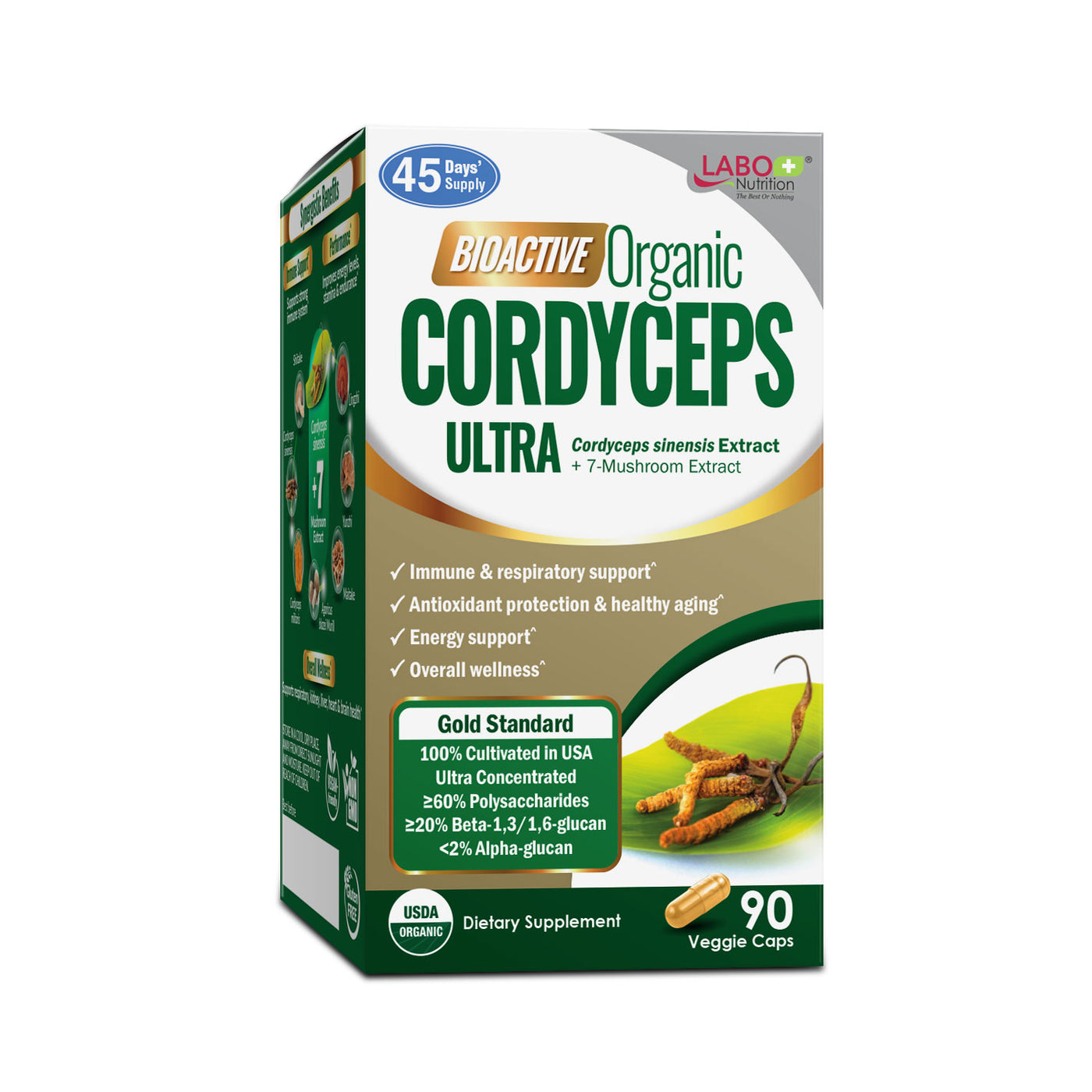 LABO Nutrition Bioactive Organic Cordyceps Ultra—7 Mushroom Extracts—Respiratory Health - Lifestream Group US