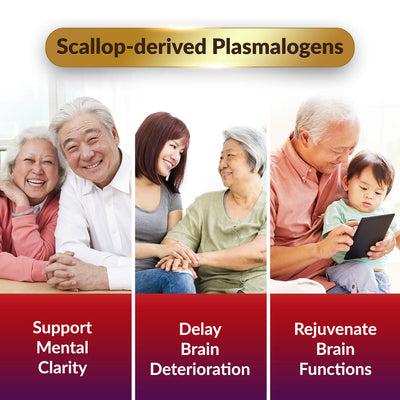 LABO NeuroREGAIN - New Hope for Dementia Memory Loss Mental Clarity & Improve Brain Health