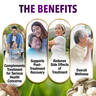 LABO Bioactive Organic Yunzhi-Turkey Tail+7 Mushroom Extract Intensive Immune Support & Recovery - Lifestream Group US