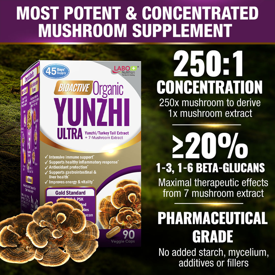 LABO Bioactive Organic Yunzhi-Turkey Tail+7 Mushroom Extract Intensive Immune Support &amp; Recovery - Lifestream Group US
